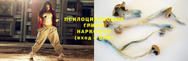 ALPHA PVP Баксан