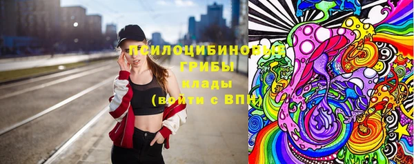 PSILOCYBIN Арсеньев