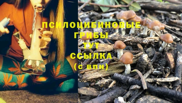 PSILOCYBIN Арсеньев