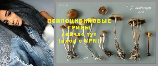 PSILOCYBIN Арсеньев